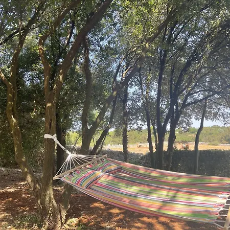 Il Trullo Di Rospano Vakantiehuis