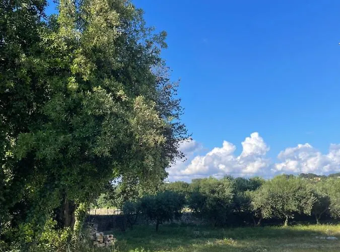 Il Trullo Di Rospano Vakantiehuis
