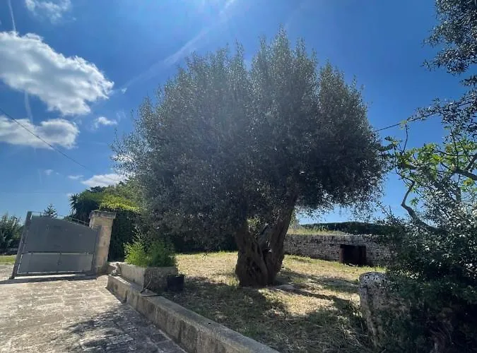 Vakantiehuis Il Trullo Di Rospano