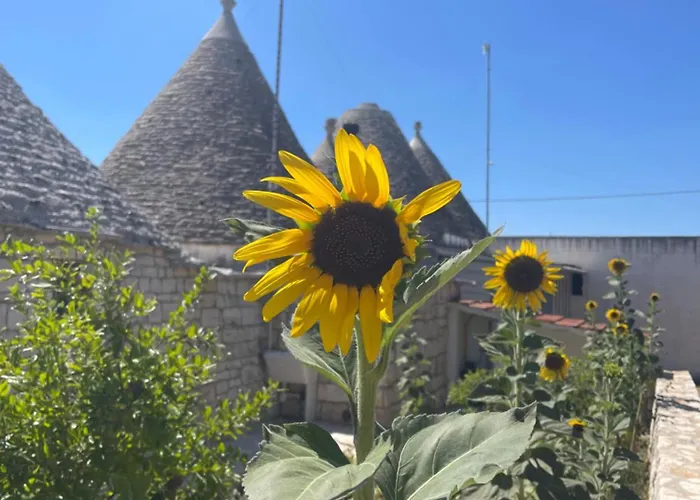 Il Trullo Di Rospano * Martina Franca
