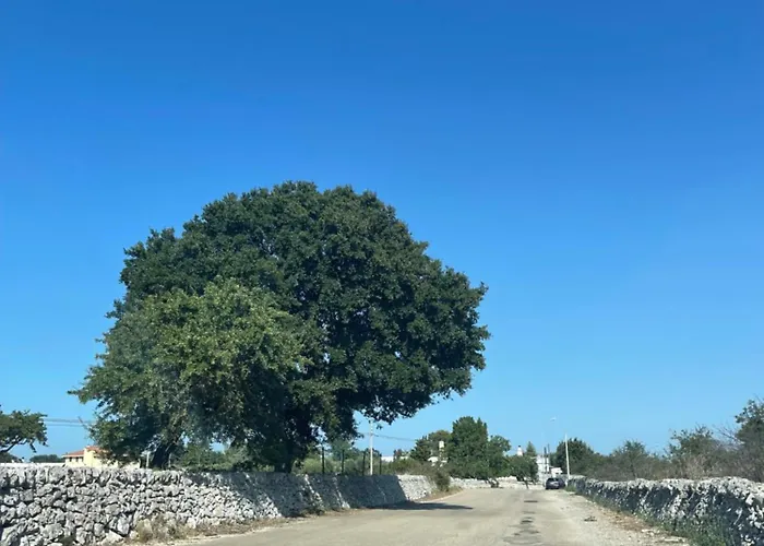 Vakantiehuis Il Trullo Di Rospano *