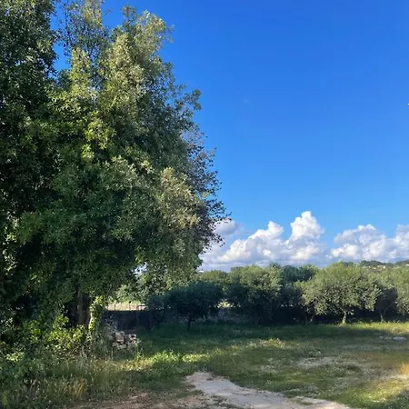 Il Trullo Di Rospano Tatil Evi