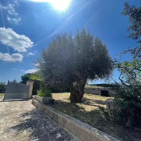 Tatil Evi Il Trullo Di Rospano