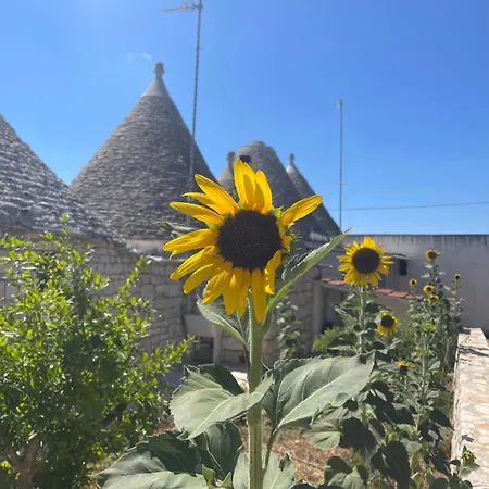 Il Trullo Di Rospano * Martina Franca