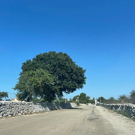 Vakantiehuis Il Trullo Di Rospano *